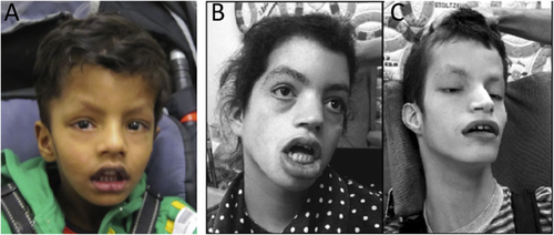 Details are in the caption following the image Details are in the caption following the image