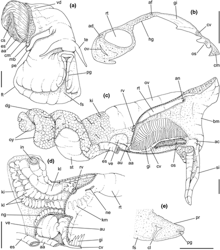 Details are in the caption following the image Details are in the caption following the image