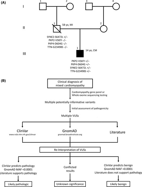A 14-year-old in heart failure with multiple cardiomyopathy variants illustrates a role for signal-to-noise analysis in gene test re-interpretation