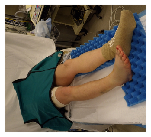Details are in the caption following the image Details are in the caption following the image