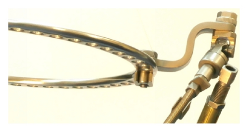 Details are in the caption following the image Details are in the caption following the image