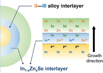 Tailoring the Interfacial Composition of Heterostructure InP Quantum Dots for Efficient Electroluminescent Devices