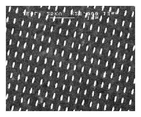 Details are in the caption following the image