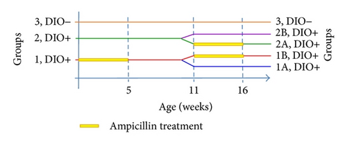 Details are in the caption following the image Details are in the caption following the image