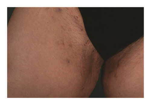 Details are in the caption following the image Details are in the caption following the image