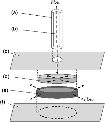Details are in the caption following the image Details are in the caption following the image