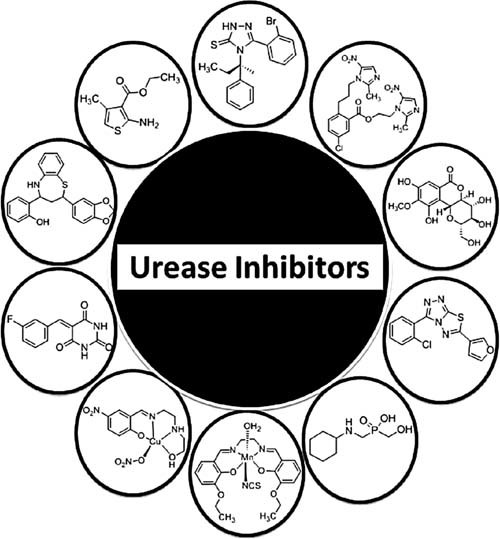 Structurally Diversified Heterocycles and Related Privileged Scaffolds as Potential Urease Inhibitors: A Brief Overview
