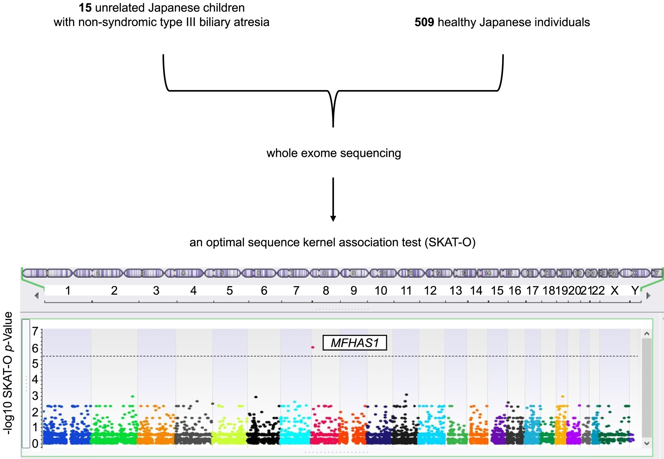 Rare sequence variants associated with the risk of non-syndromic biliary atresia