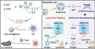Atorvastatin-Loaded Mineralized Vaccine Reprograms Endosomal Trafficking to Amplify STING-Driven Cancer Immunotherapy
