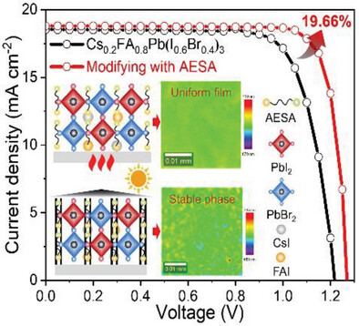 Organizing Uniform Phase Distribution in Methylammonium-Free 1.77 eV Wide-Bandgap Inverted Perovskite Solar Cells