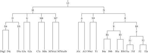 Details are in the caption following the image Details are in the caption following the image