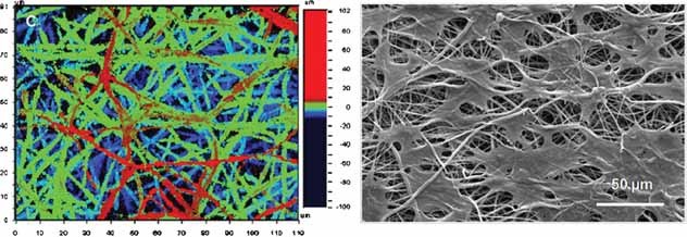 Surface Modification of Electrospun Polycaprolactone Nanofiber Meshes by Plasma Treatment to Enhance Biological Performance