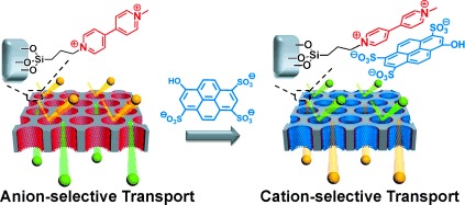 Supramolecular Gating of Ion Transport in Nanochannels