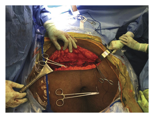 Details are in the caption following the image Details are in the caption following the image