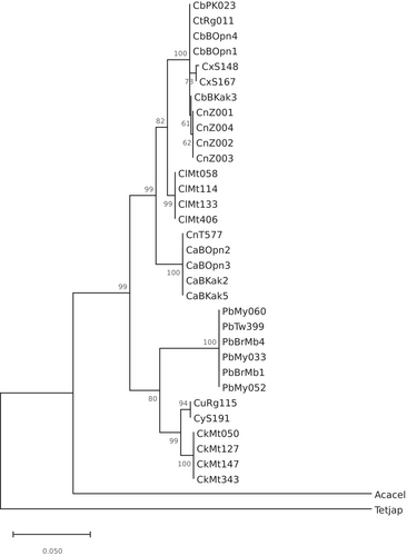 Details are in the caption following the image Details are in the caption following the image