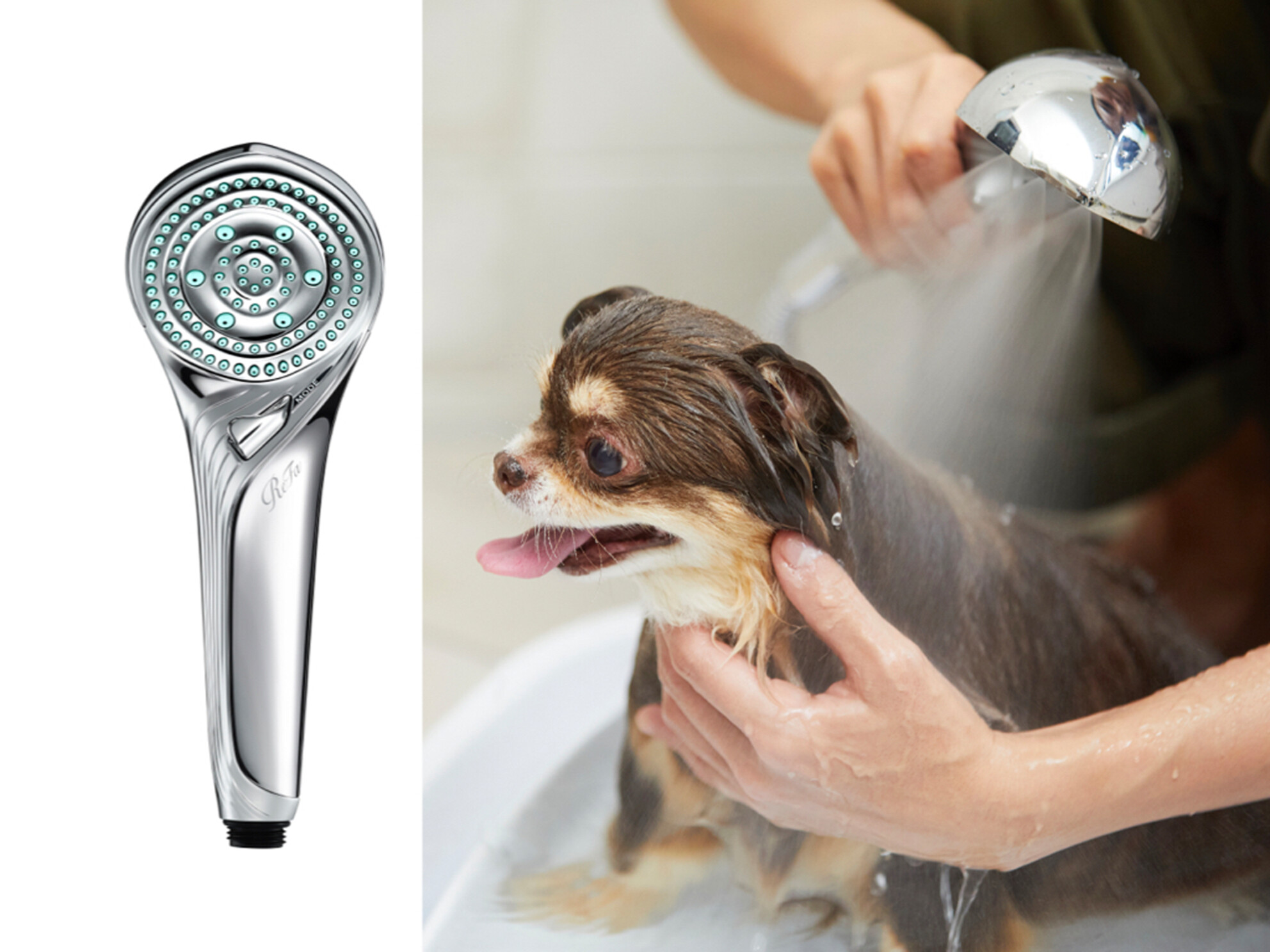 Preliminary evaluation of a commercial shampoo and fine bubble bathing in the treatment of canine atopic dermatitis: A single-blinded, randomised, controlled study