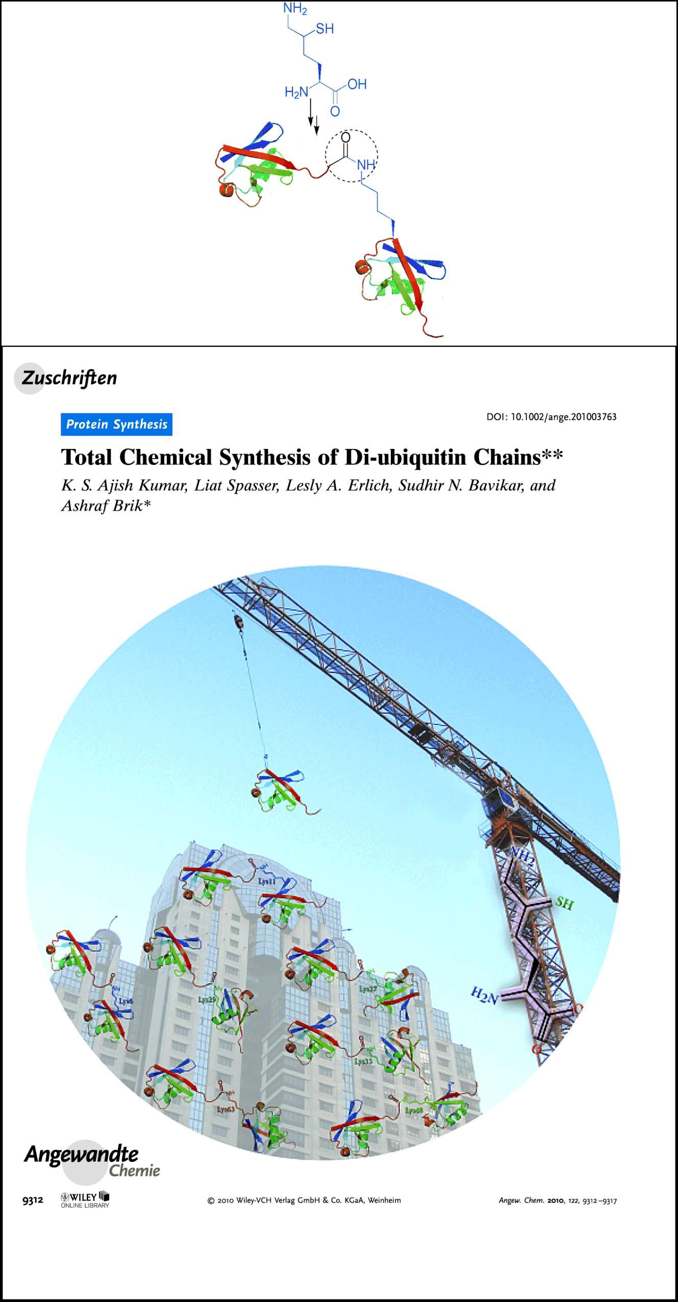 Total Chemical Synthesis of Di-ubiquitin Chains