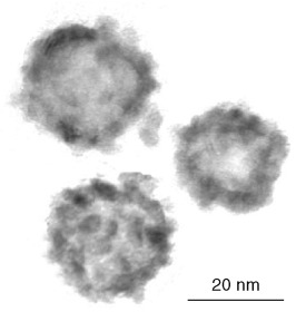 Pt Hollow Nanospheres: Facile Synthesis and Enhanced Electrocatalysts