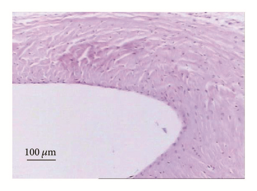 Details are in the caption following the image