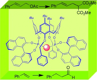 Regioselectivity with Hemispherical Chelators: Increasing the Catalytic Efficiency of Complexes of Diphosphanes with Large Bite Angles