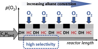 Catalytic Membrane Reactors – Chemical Upgrading and Pollution Control