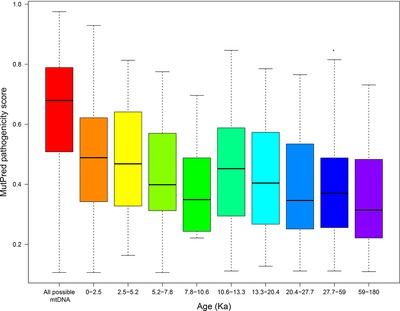 Fine Time Scaling of Purifying Selection on Human Nonsynonymous mtDNA Mutations Based on the Worldwide Population Tree and Mother–Child Pairs