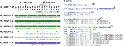 hgvs: A Python package for manipulating sequence variants using HGVS nomenclature: 2018 Update