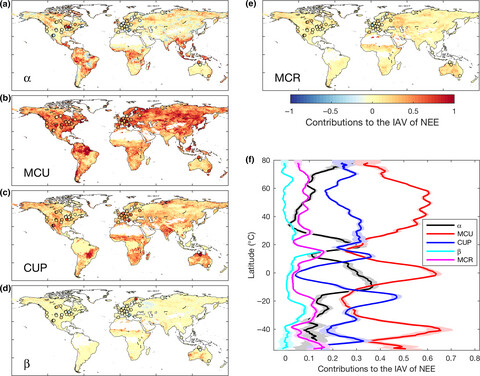 Maximum carbon uptake rate dominates the interannual variability of global net ecosystem exchange