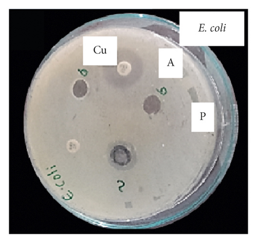 Details are in the caption following the image