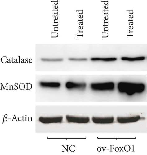 Details are in the caption following the image