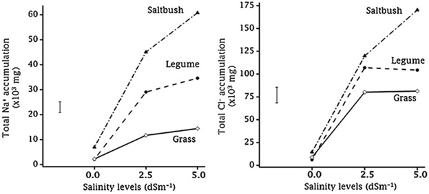 An Ex Situ Salinity Restoration Assessment Using Legume, Saltbush, and Grass in Australian Soil