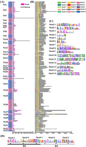 Details are in the caption following the image Details are in the caption following the image