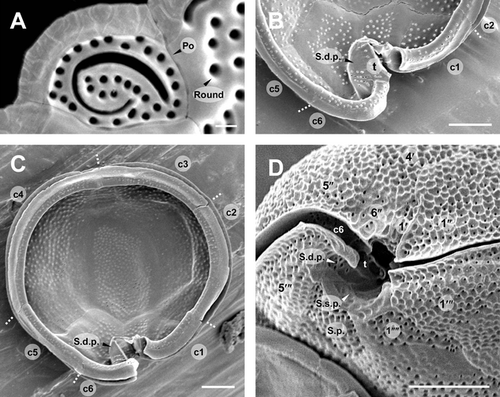 Details are in the caption following the image Details are in the caption following the image