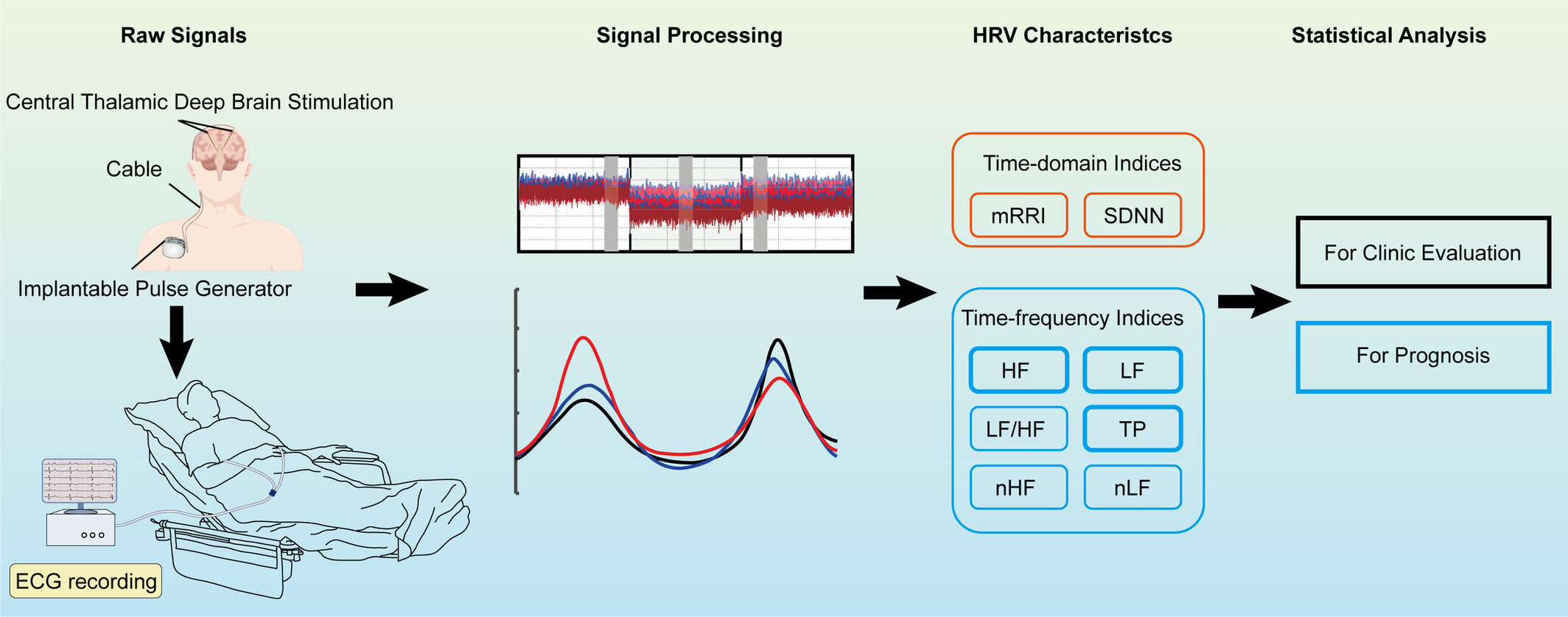 Central Thalamic Deep Brain Stimulation Modulates Autonomic Nervous System Responsiveness in Disorders of Consciousness