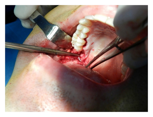 Details are in the caption following the image Details are in the caption following the image