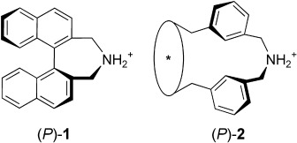 C2-symmetrische Metacyclophane – eine mögliche Alternative zu o,o′-verbrückten Binaphthylen