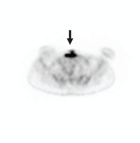 Details are in the caption following the image