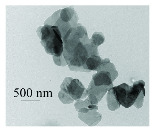 Details are in the caption following the image Details are in the caption following the image
