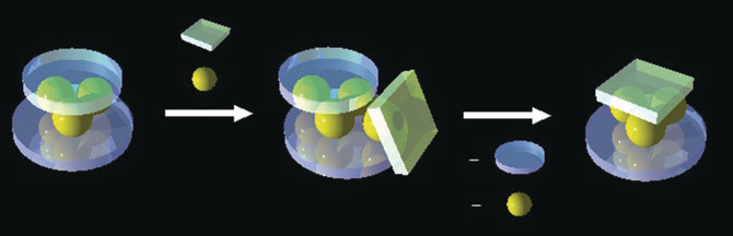 Substrate Binding by a Parallel Metal Sheet Sandwich Complex: A Unique Role of an Additional Metal Atom