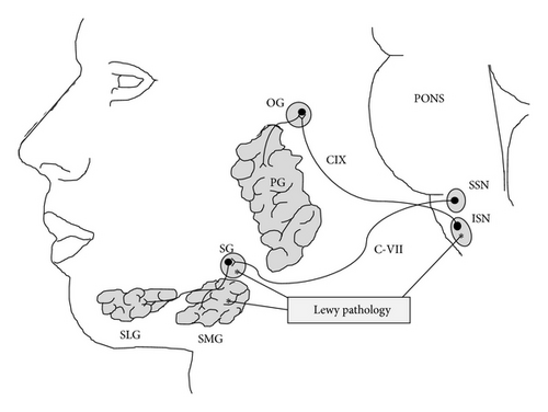 Details are in the caption following the image Details are in the caption following the image