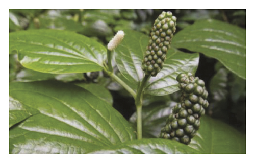 Details are in the caption following the image