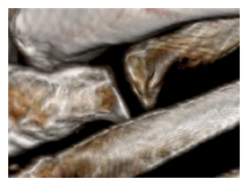 Details are in the caption following the image Details are in the caption following the image