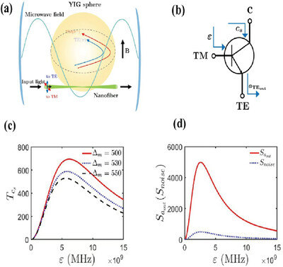Microwave-to-Optical Conversion and Amplification in Cavity Optomagnonics System