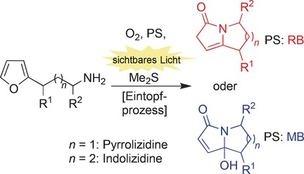 Photooxygenation of Furylalkylamines: Easy Access to Pyrrolizidine and Indolizidine Scaffolds