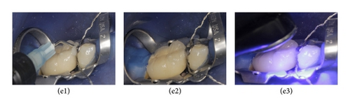 Details are in the caption following the image Details are in the caption following the image