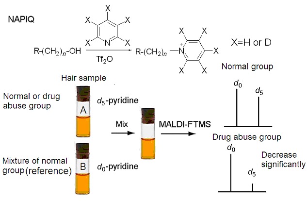 Comparison of Hair Fatty Alcohols by N-Alkylpyridinium Isotope Quaternization and Matrix-assisted Laser Desorption/ionization Mass Spectrometry for Drug Abuse Monitoring