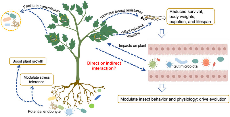 Friends or Foes? The Indispensable Role of Gut Microbiota in Plant–Fungus–Herbivore Interactions Issue ,