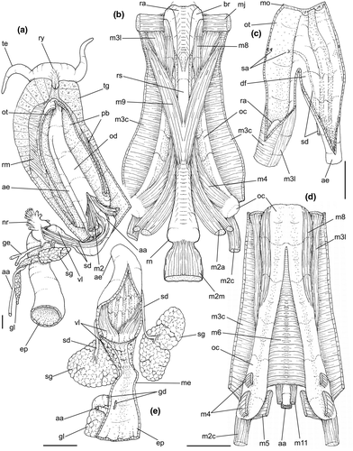Details are in the caption following the image Details are in the caption following the image