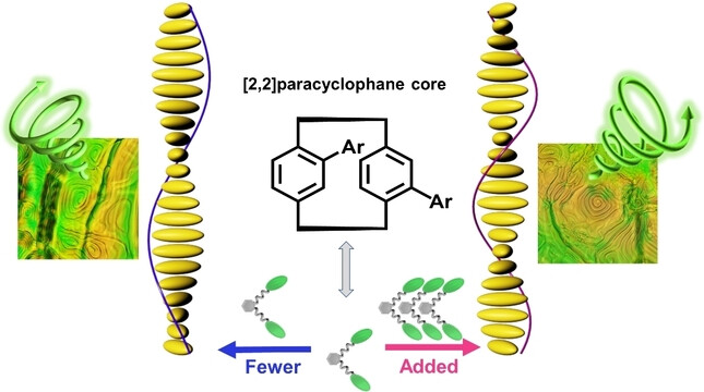 A Single-Enantiomer Emitter Enabled Superstructural Helix Inversion for Upconverting and Downshifting Luminescence with Bidirectional Circular Polarization