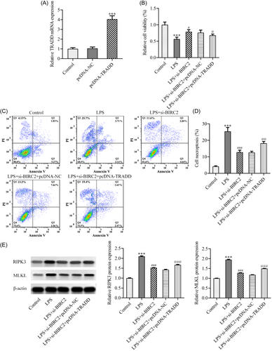 Details are in the caption following the image Details are in the caption following the image